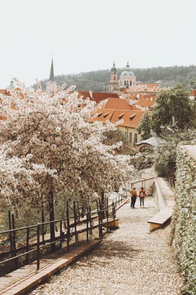 jardin Fürstenberská